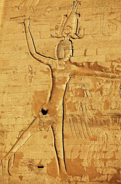 埃及纹理 — 图库照片