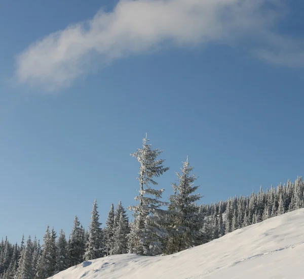 Téli időszakban a hegyekben — Stock Fotó