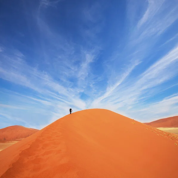 Прогулка по пустыне — стоковое фото