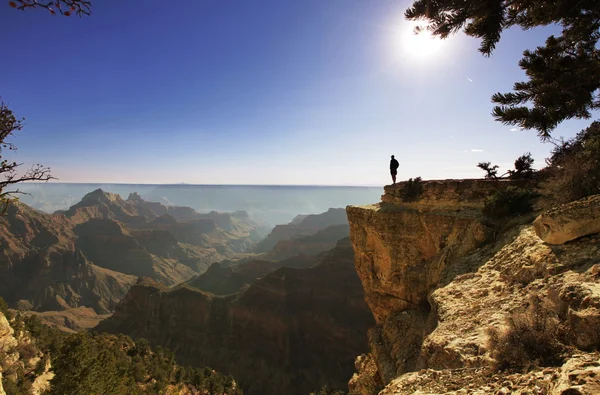 No Grand Canyon — Fotografia de Stock