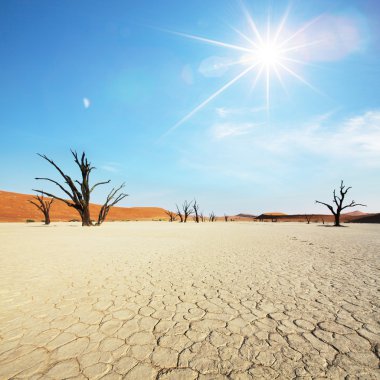 Namib