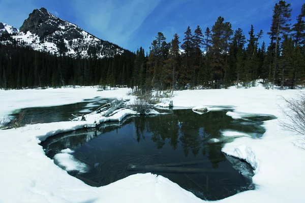 Montañas primavera lago — Foto de Stock