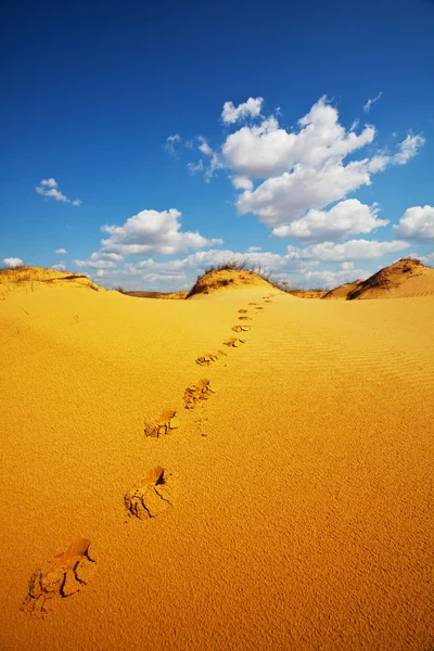 Woestijn en wolken — Stockfoto