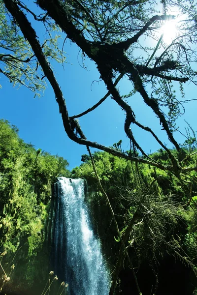Тропические водопады — стоковое фото