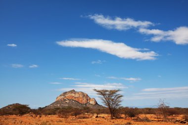 Afrika manzaraları