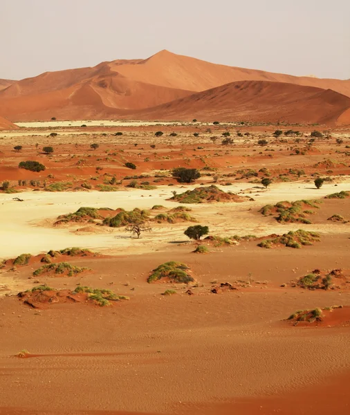 砂漠 — ストック写真