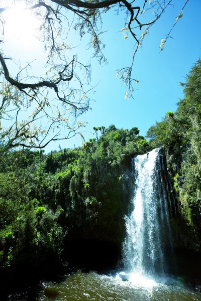 Тропический водопад в джунглях — стоковое фото