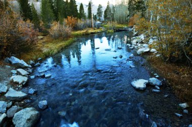 ormandaki Creek