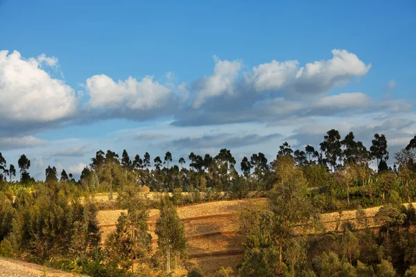 Ethiopische landschappen — Stockfoto