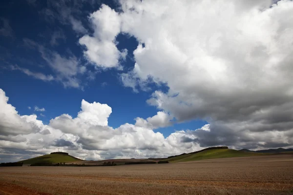 Campo — Foto Stock