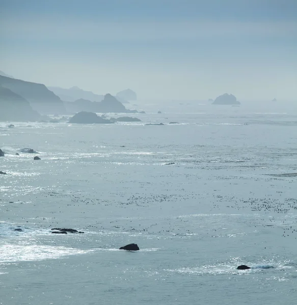 Oceano nebbioso — Foto Stock