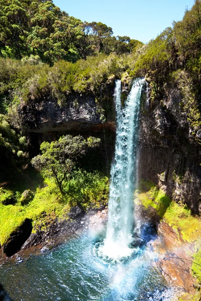 Tropical waterfall — Stock Photo, Image