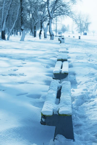 Arvores congeladas — Fotografia de Stock