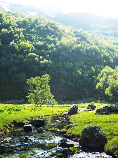 Stock image Creek