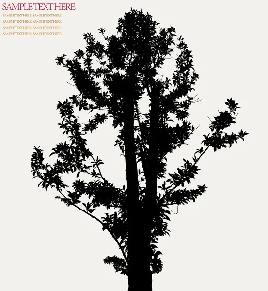 Fond de plante vectorielle — Image vectorielle