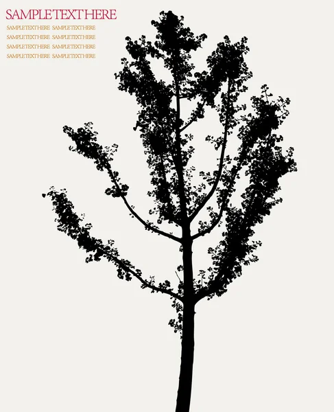 Fond de plante vectorielle — Image vectorielle