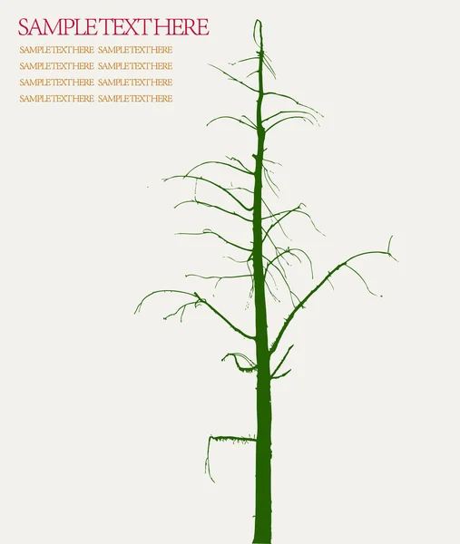 Фон векторного растения — стоковый вектор