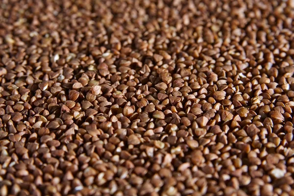 Close-up pada permukaan buckwheat — Stok Foto