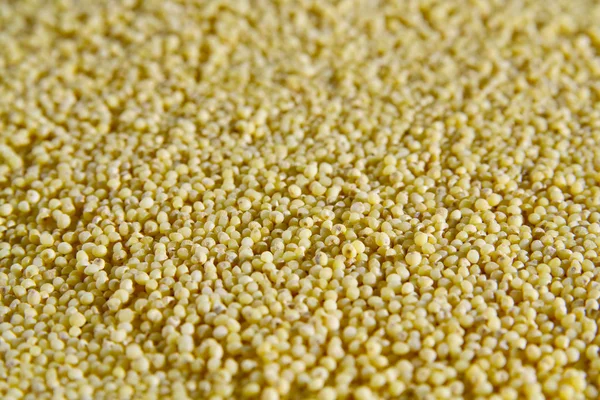 Close-up on abraded millet groats — Stok Foto