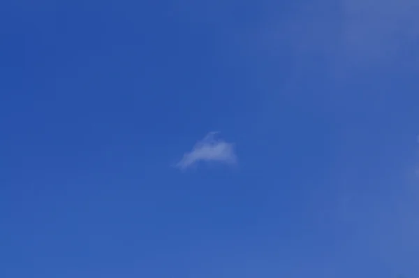 Witte wolk aan de blauwe lucht — Stockfoto