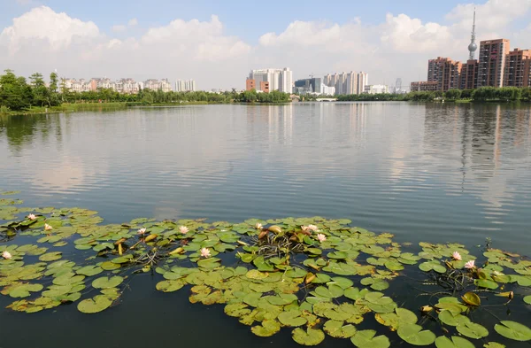 上海城市公园 — 图库照片