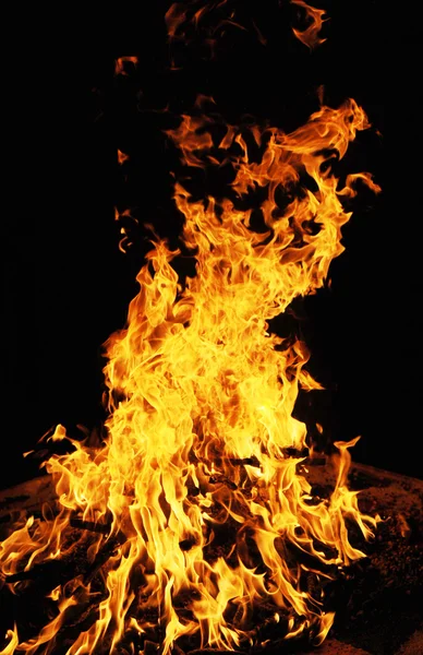 Flammande eld — Stockfoto
