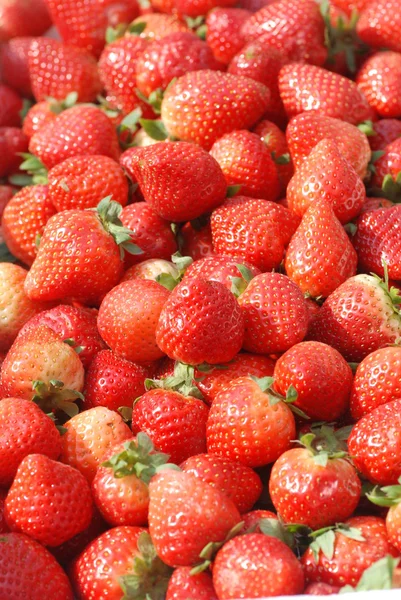 Bright red strawberries — Stock Photo, Image
