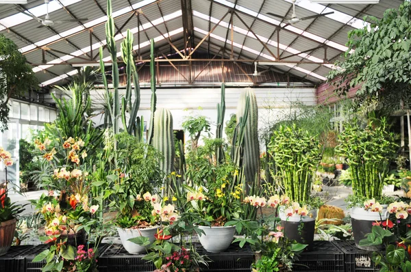 Conservatory garden — Stock Photo, Image