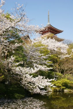 Japon kiyomizudera Budist tapınağı