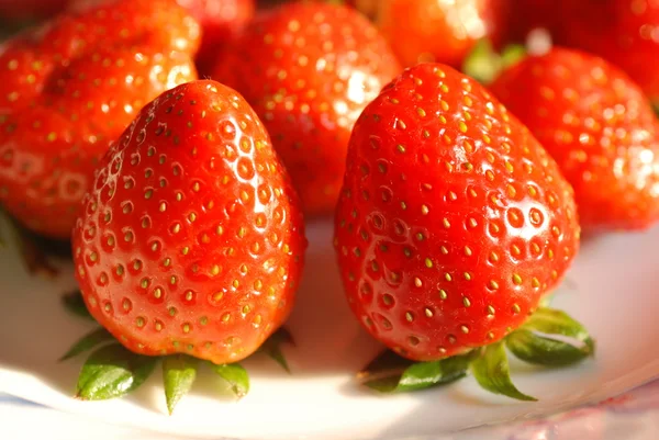 Rijpe aardbeien in een tuin — Stockfoto