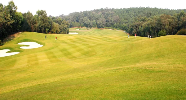 ゴルフ場の完璧な緑の草 — ストック写真