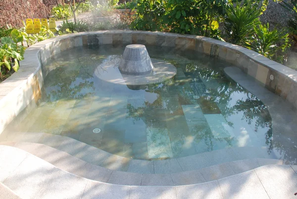 Pool in garden — Stock Photo, Image