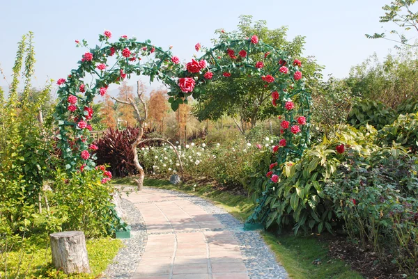 Цветочный сад Стоковая Картинка