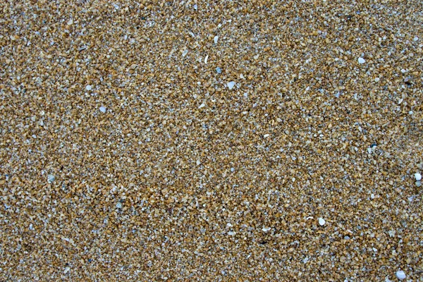 stock image Beach Sand