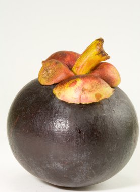 Mangosteen