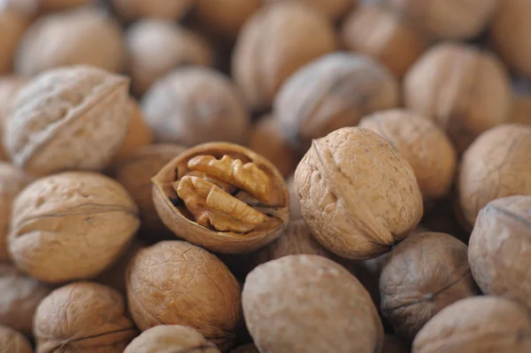 Heap of ripe walnuts — Stock Photo, Image