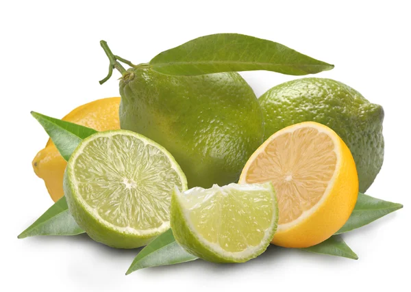 Lemon and lime with leaves — Stock Photo, Image
