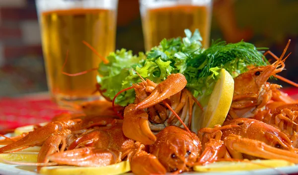 River lobsters against beer — Stock Photo, Image