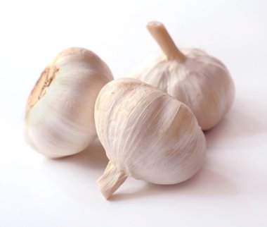 Garlic clipart