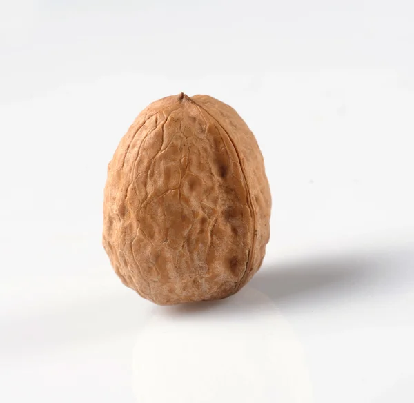 Walnut — Stock Photo, Image