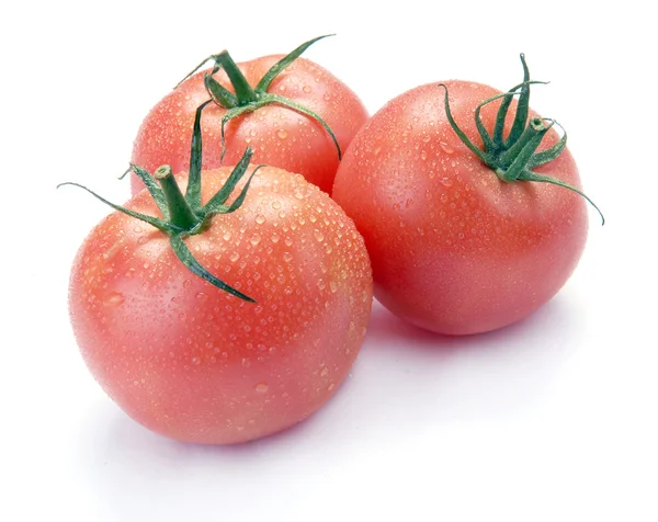 Tři růžové rajčata s kapkou — Stock fotografie