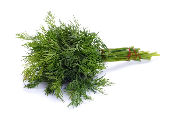 Green fennel leaf — Stock Photo, Image