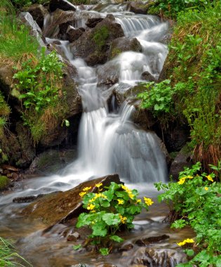 The stream flows on stones clipart