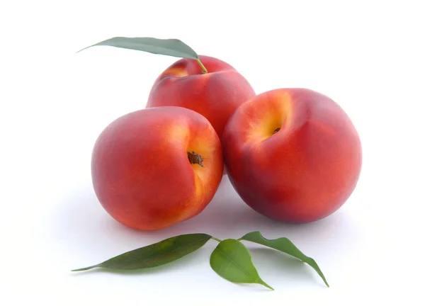 Smidig persika med lämnar — Stockfoto