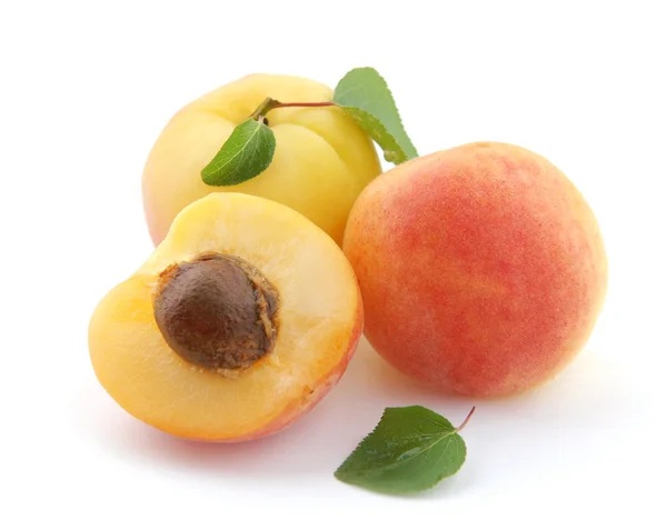 Apricots and a half — Stock Photo, Image