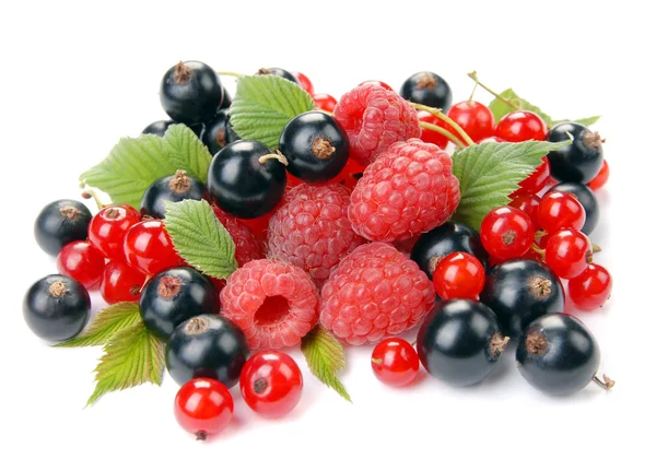 Raspberry , red and black currant — Stock Photo, Image