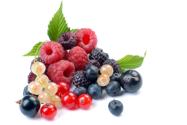 Summer berries with leaves — Stock Photo, Image