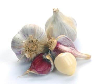 Garlic clipart