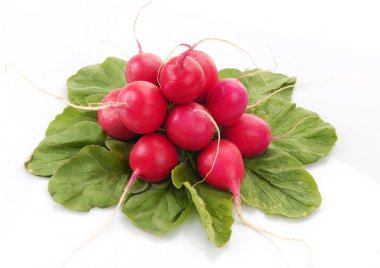 Bunch of a garden radish with leaves clipart