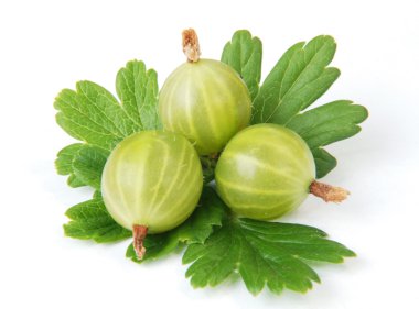 Gooseberry clipart